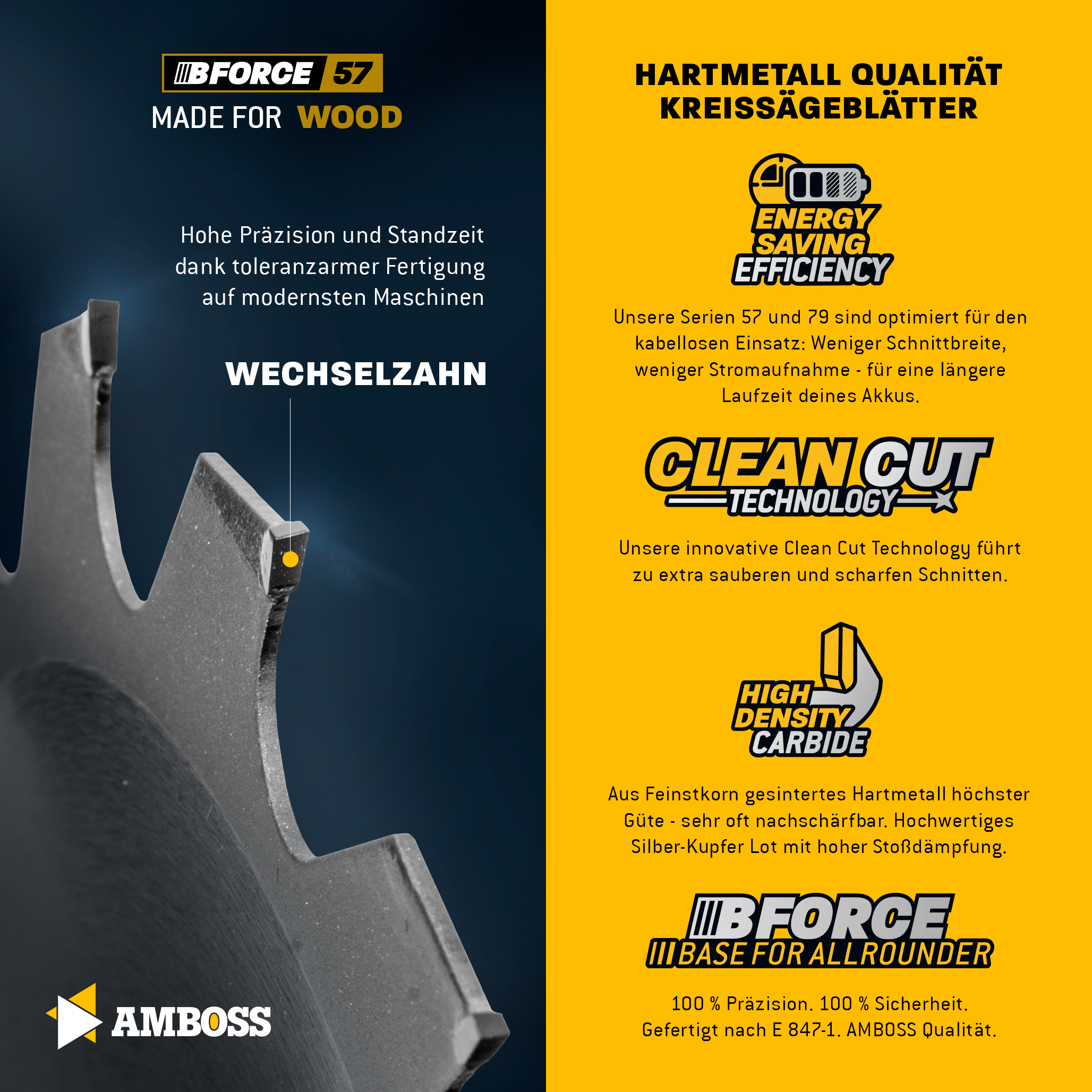 HM Kreissägeblatt - 250 x 2.1/1.6 x 30 Z48 WZ