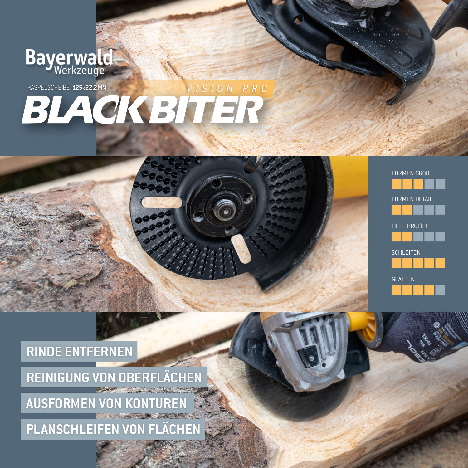 Bayerwald Raspelscheibe Black Biter Vision Ø125 mm für Winkelschleifer